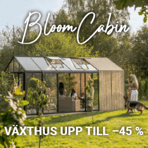 Bloomcabin.com