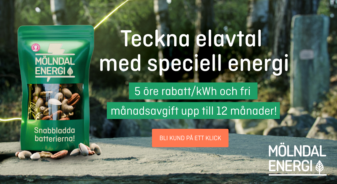 Mölndal energi