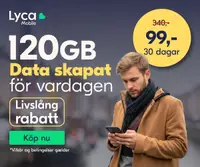 Img300x250 se 1771588638034 (1)