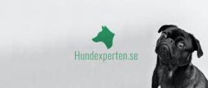 Hundexperten